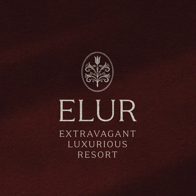 ELUR brand identity project